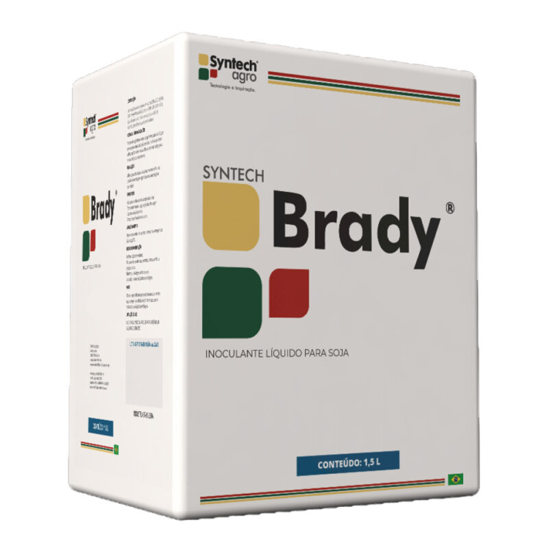 Syntech Brady