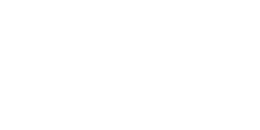 Logo Syntech Agro – 1x